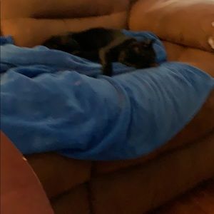 Meet your Posher, Bonnie